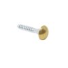 Rosettskruv 13 mm Mässing