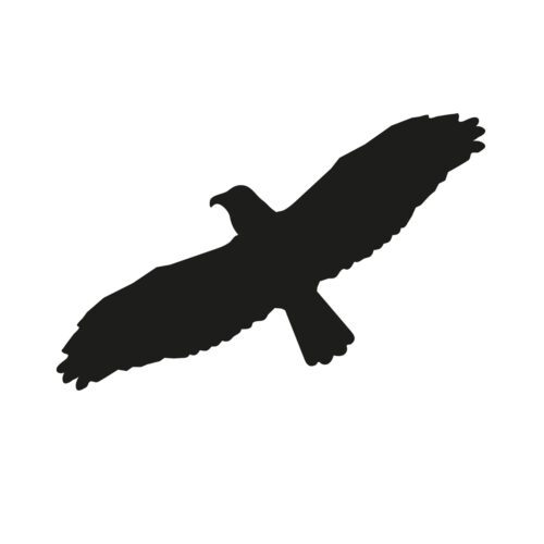 symbol självhäftande fågel skydd